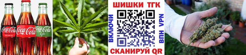 где купить наркоту  Можга  кракен вход  Cannafood марихуана 