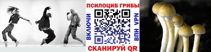Псилоцибиновые грибы Psilocybine cubensis  купить   Можга 