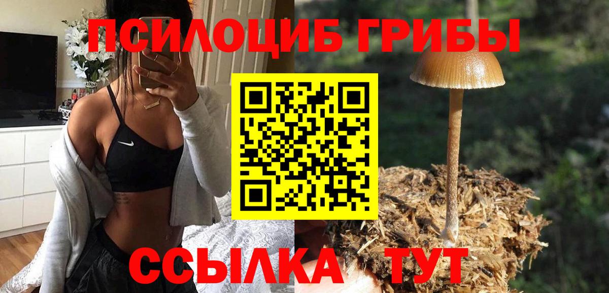 Галлюциногенные грибы прущие грибы Можга