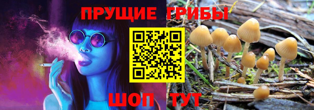 Псилоцибиновые грибы Cubensis  Вход с VPN  Галлюциногенные грибы Psilocybine cubensis  Можга 